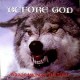 Before God - Wolves Amongst The Sheep - CD